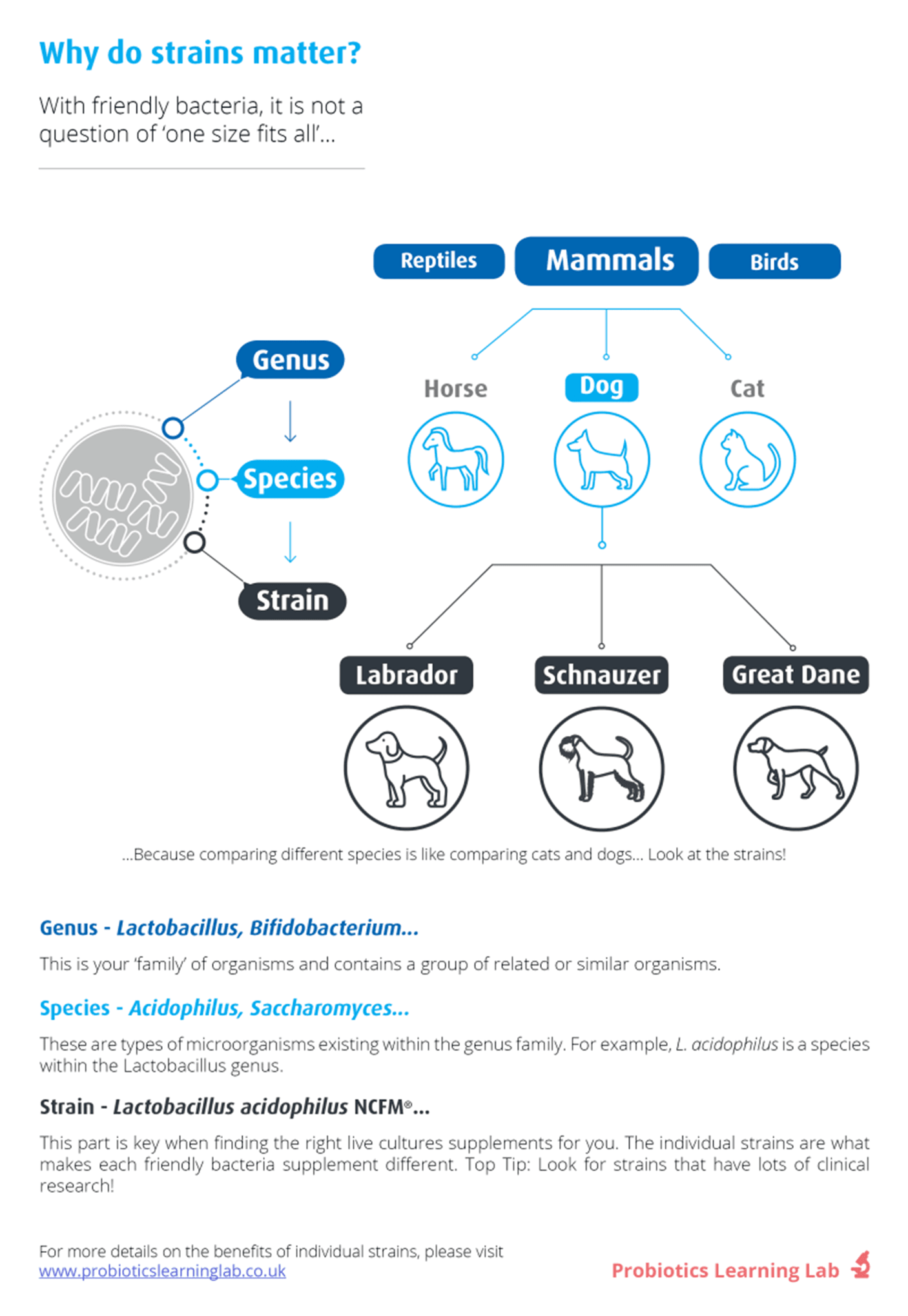 What are Probiotics? | Probiotics Learning Lab